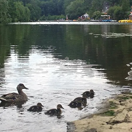 Chambres D'hotes Du Moulin Du Vey