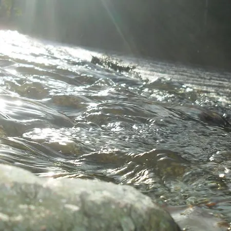 Chambres D'hotes Du Moulin Du Vey Frühstückspension