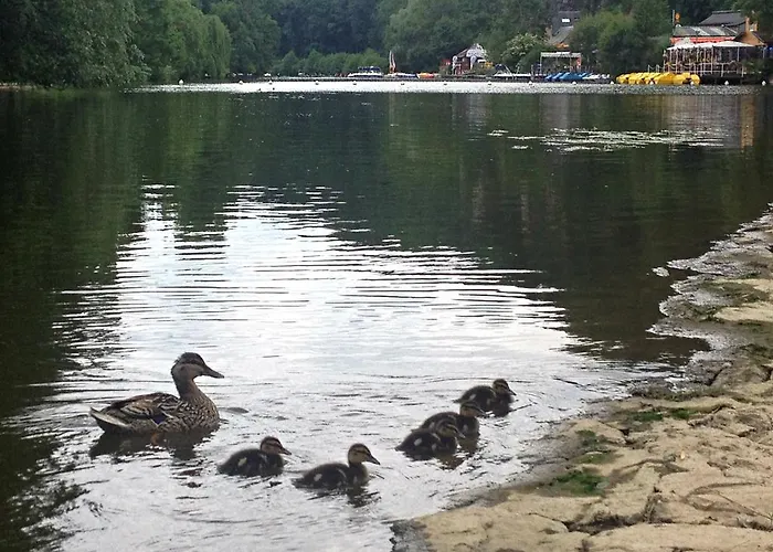 D'hotes Du Moulin Du Vey