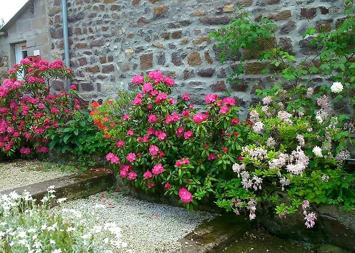 Bed & Breakfast Chambres D'hotes Du Moulin Du Vey Clecy