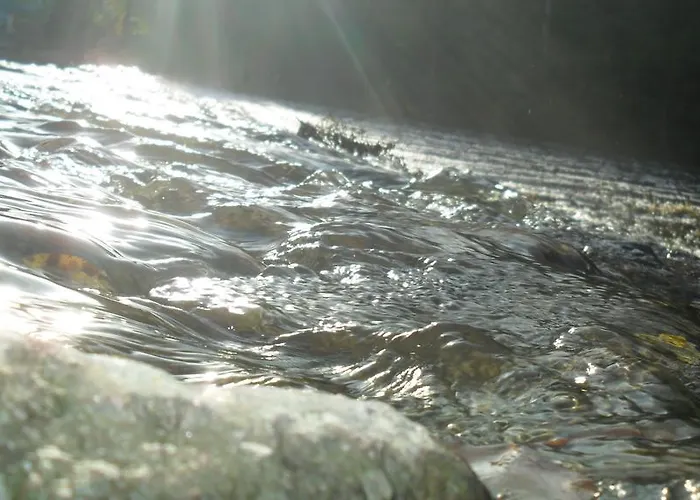 D'hotes Du Moulin Du Vey Panzió